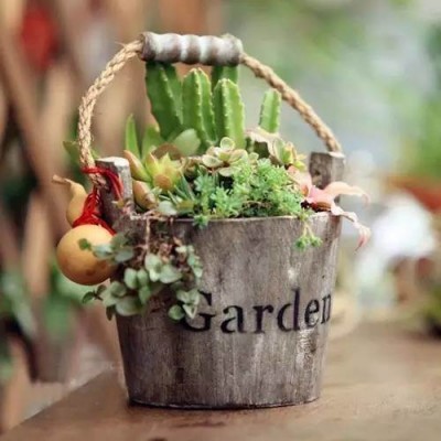 Flower Bucket Round Vegetable Bucket Plastic Vegetable Balcony Planting Box Thick Resin Extra Large Flower Bucket Tray